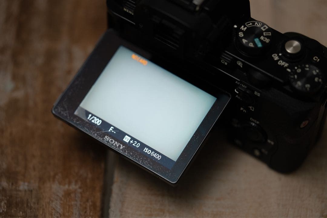 f*1様 SONY α7s初代　ミラーレスカメラ