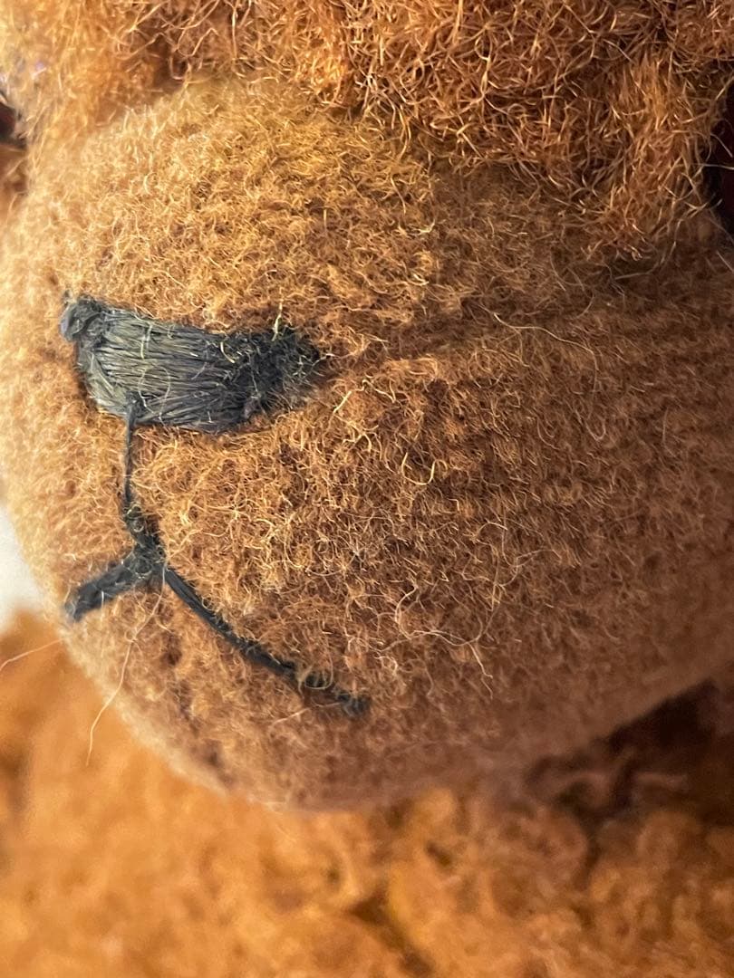 ・ ☆⋆ ☽ DDRベア　ブラウン　ドイツ　ヴィンテージベア ⋆ ☆ 。゜.