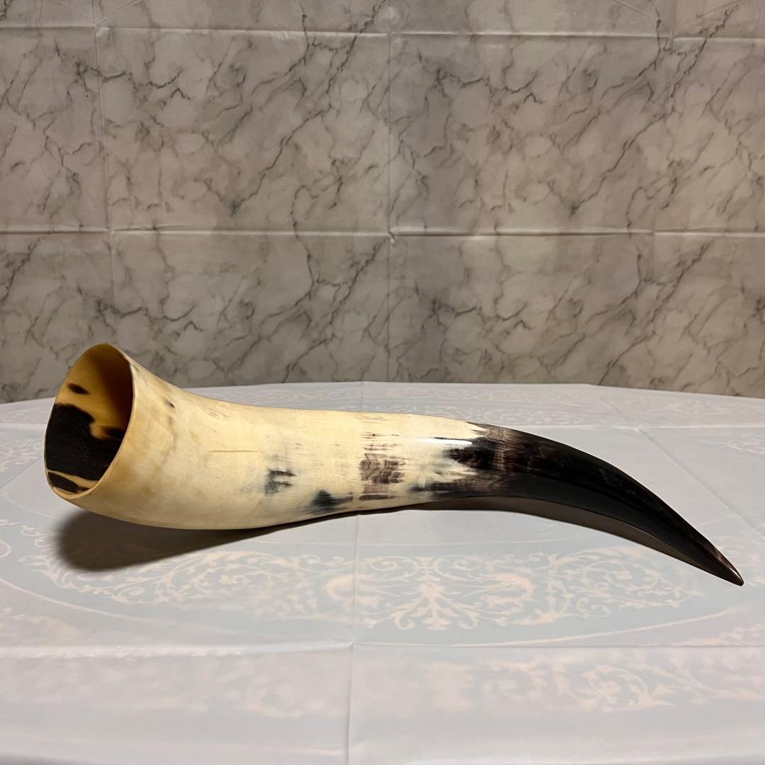 ⏱SALE！テキサスロングホーン　牛　角　バッファロー　スカル アメリカン