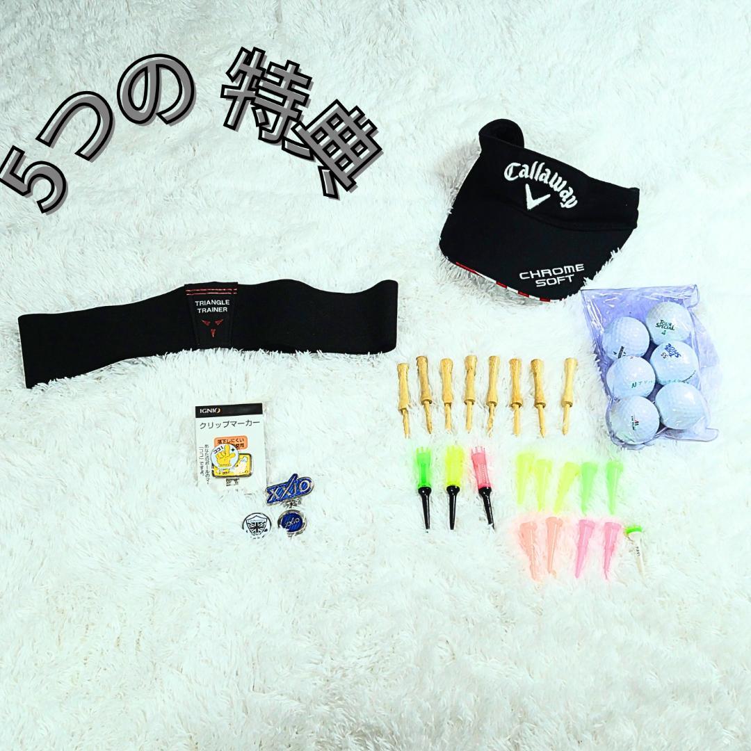 Callaway キャロウェイ WARBIRD メンズゴルフクラブセット 特典付