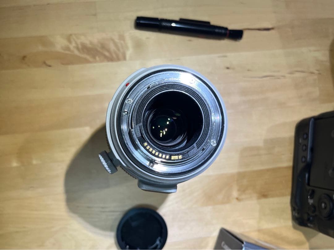 【アダプター付きEF100-400mm F4.5-5.6L IS II USM