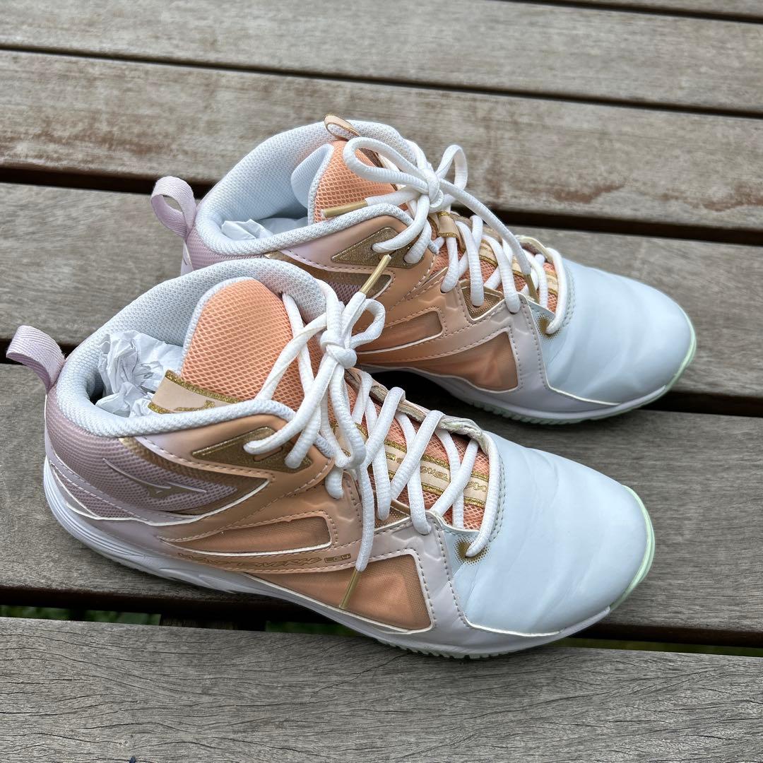 一度のみ着用　MIZUNO WAVE DIVERSE LG4 24.5cm