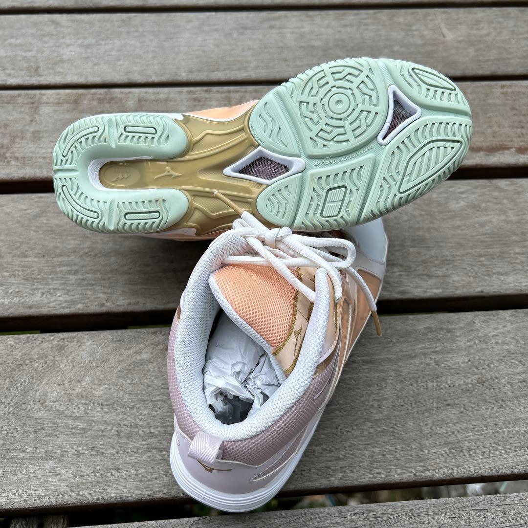 一度のみ着用　MIZUNO WAVE DIVERSE LG4 24.5cm