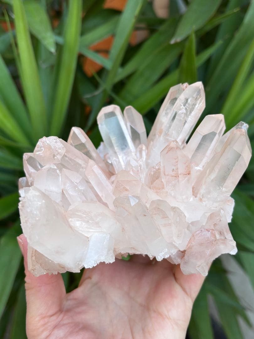 ピンク水晶クラスター　フラワークォーツ　花型　1.726g 豪華　美麗　天然石