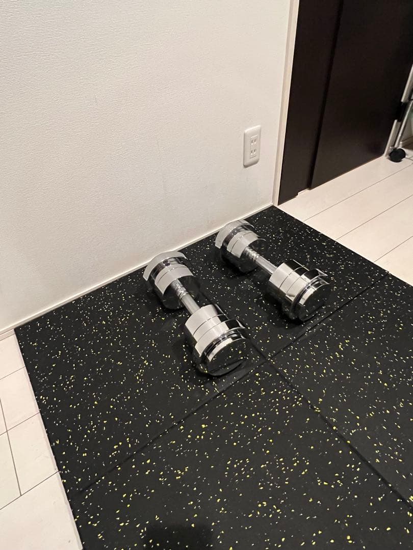 ステディ 可変式ダンベル 15kg×2＋追加プレート