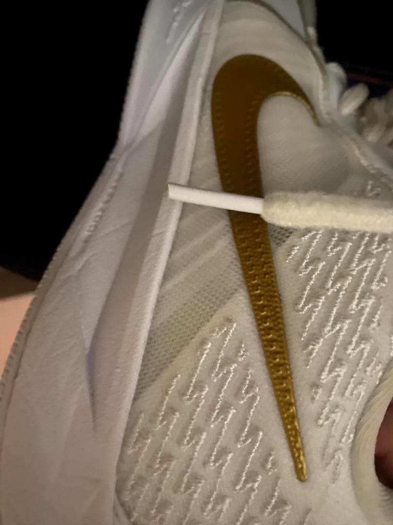 Nike バスケットボールシューズ ホワイト/ゴールド