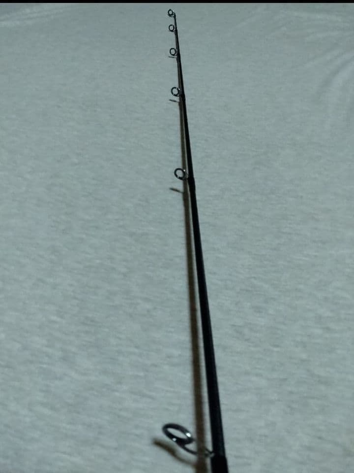 DAIWA　ダイワ ソルティガ LC 76-2 / ライトキャスティングロッド