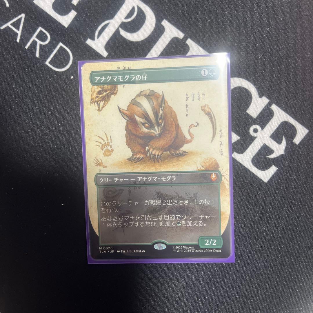 アナグマモグラの仔 英語 4枚セット アナグマモグラの仔⁄Badgermole