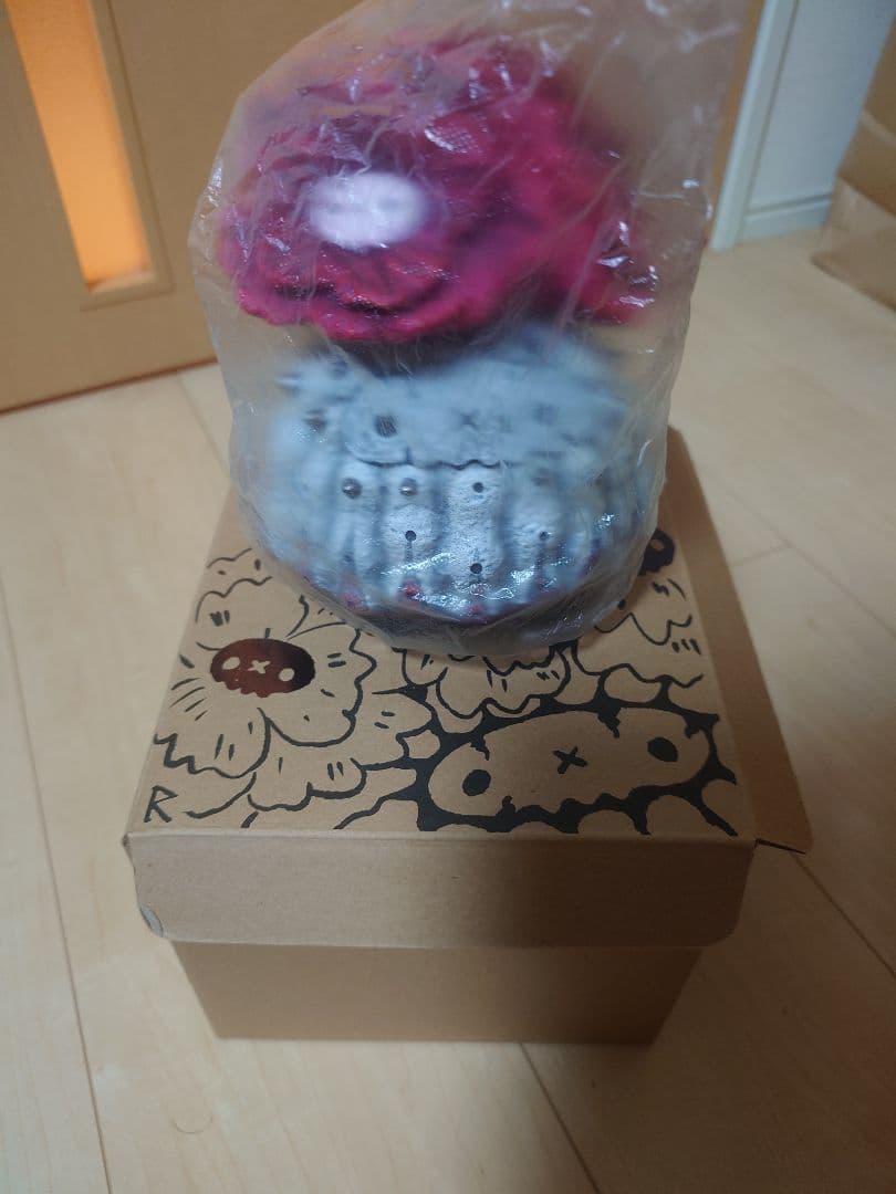 羅本製所 Copiapoa 黒王丸花季番紅花