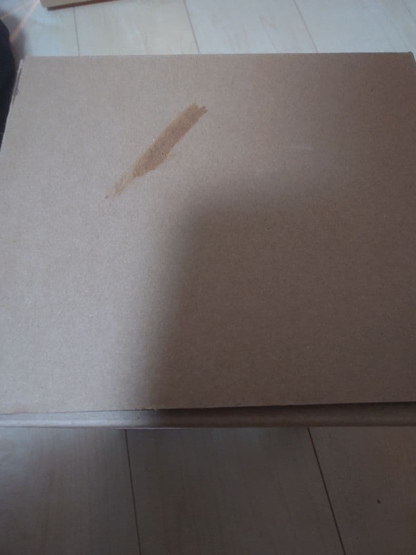 羅本製所 Copiapoa 黒王丸花季番紅花