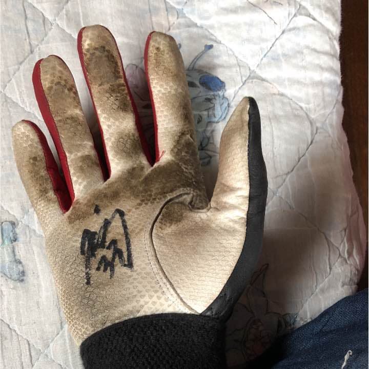 鶴岡慎也選手実使用直筆サイン入りバッティンググローブ