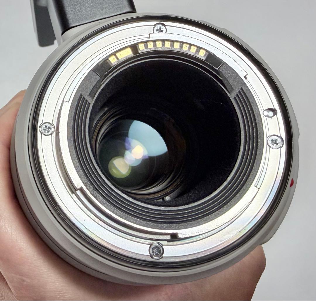 レンズ(ズーム) EF100-400mm F4.5-5.6L IS II USM canon