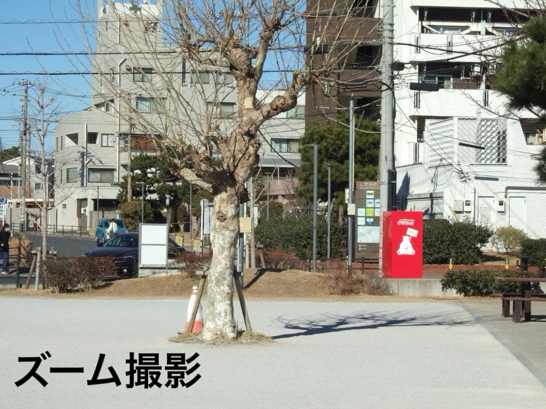 実写美⭕️良品【動作確認済】FUJIFILM FinePix F10