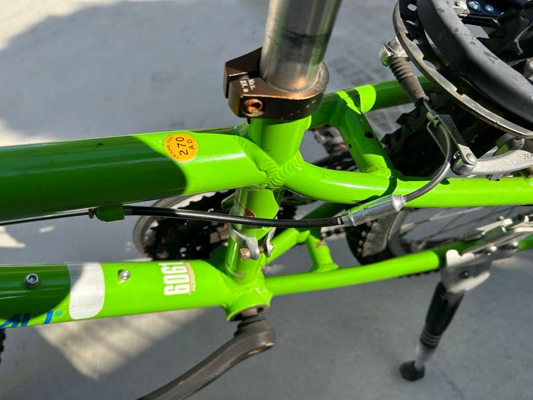 LOUIS GARNEAU ジュニアマウンテンバイク グリーン　J22(手渡し)