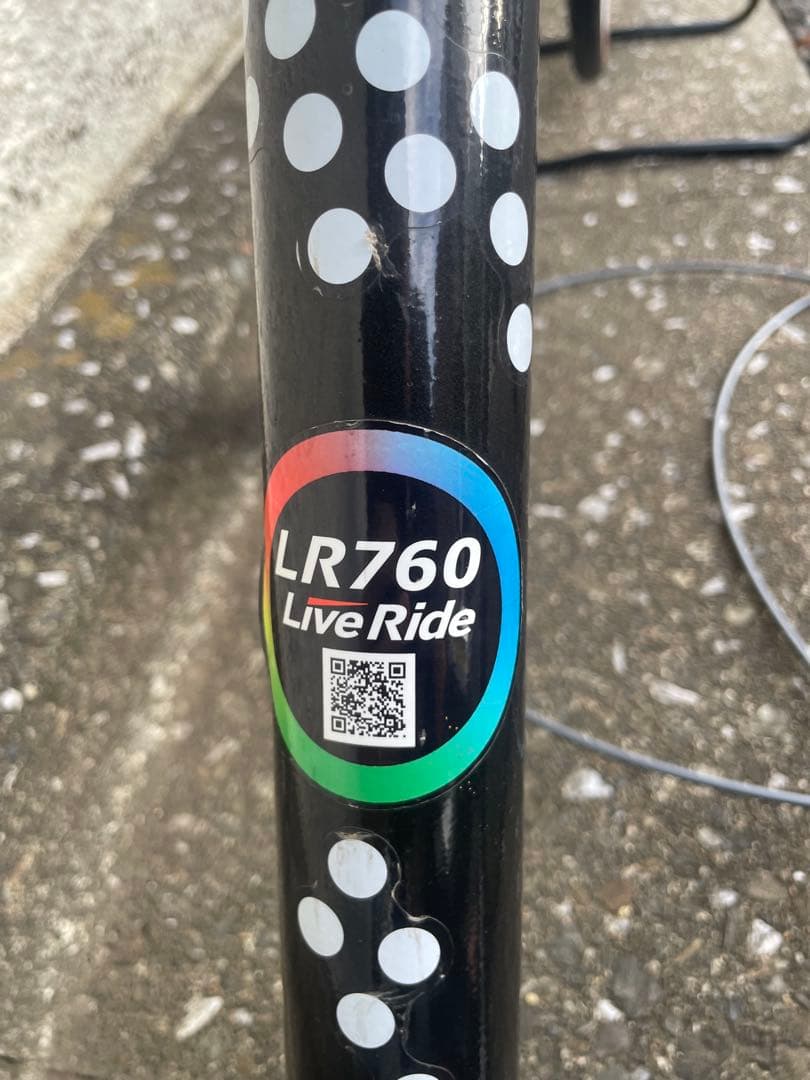 【発送方法要相談】 CRV RALEIGH（ラレー）　2013限定モデル