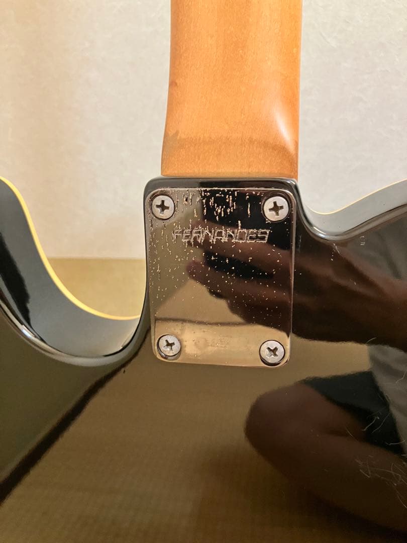 FERNANDES tej-45B フロントPU断線