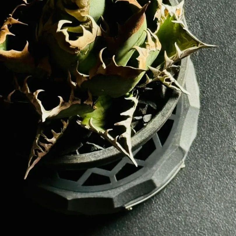 XWAG PRODUCTS X-TAGE BARREL KNOT ROUND ②