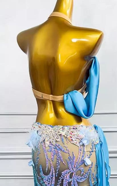 ベリーダンス オリエンタル衣装 透け ブラ スカートセット オーダーメイド