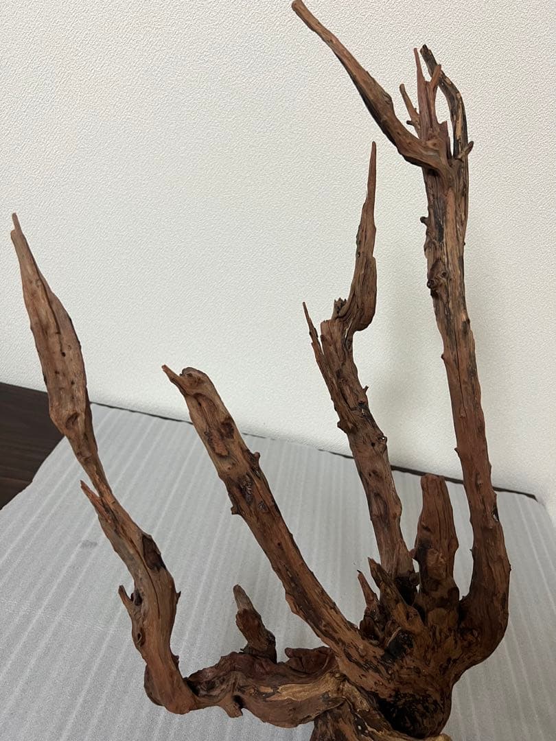 HX-083 流木 ホーンウッド マシンガンウッド アクアリウム ブランチ