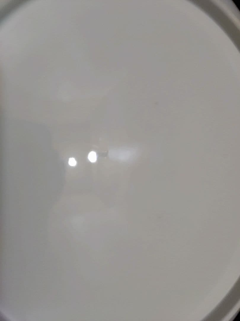 十三代？十四代？酒井田柿右衛門本人作 濁手柘榴文皿　直径27.5cm