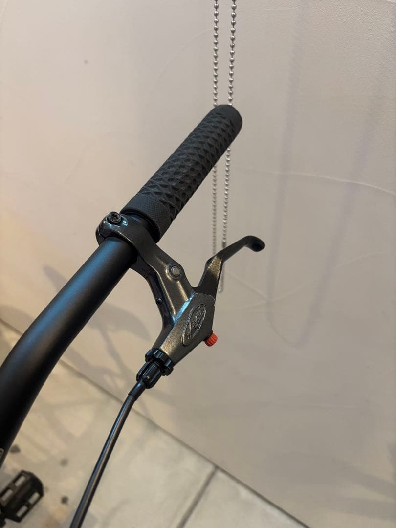 SURLY 1×1 シングル　サーリー　BLUE LUG ピスト