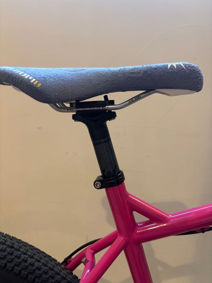 SURLY 1×1 シングル　サーリー　BLUE LUG ピスト