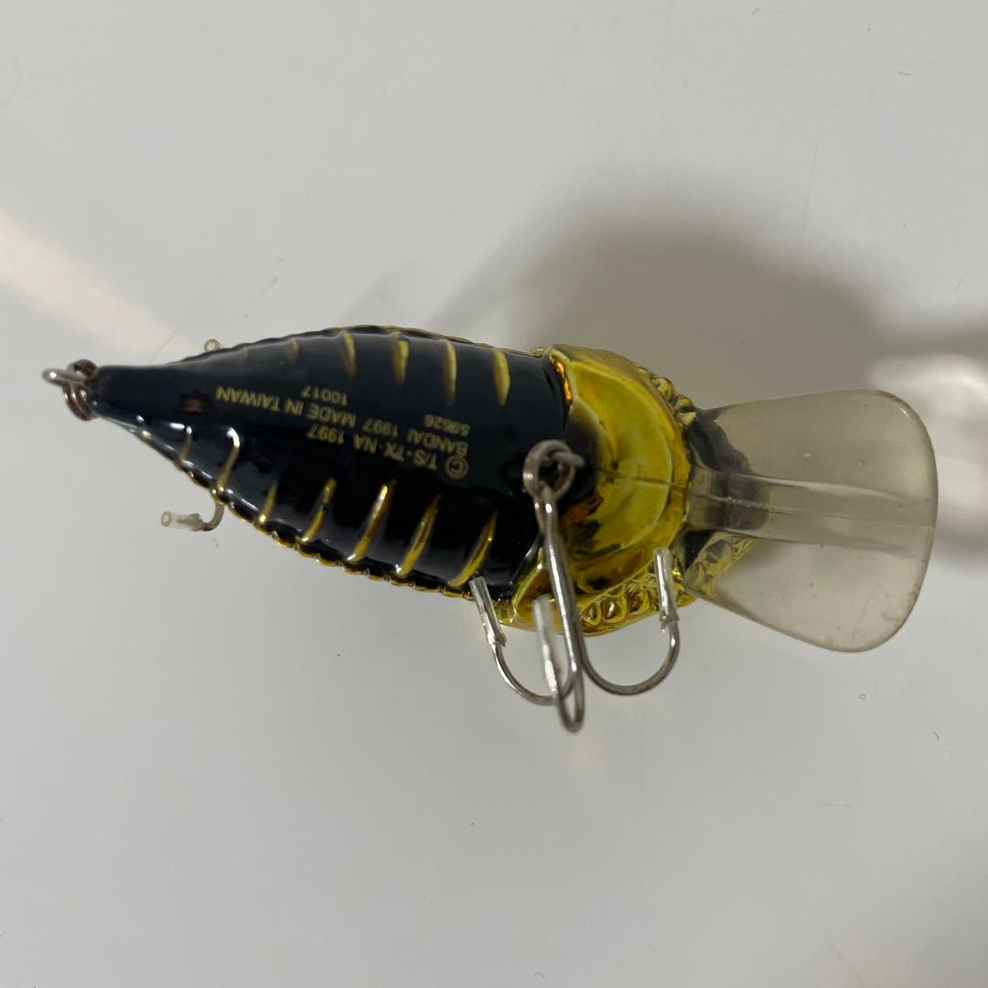 ジースケルトン　限定カラー