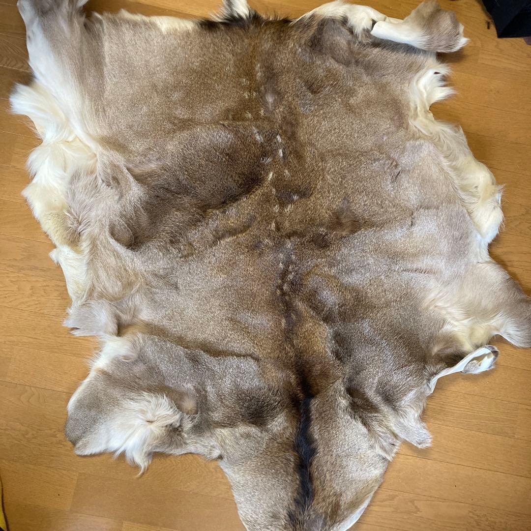 蝦夷鹿 エゾシカ 毛皮敷物 キャンプ ブッシュクラフト - メルカリ