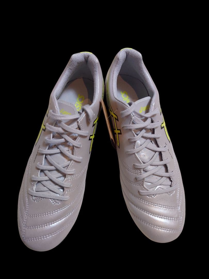 ASICS　アシックス　DS LIGHT X-FLY PRO 3　24.5cm