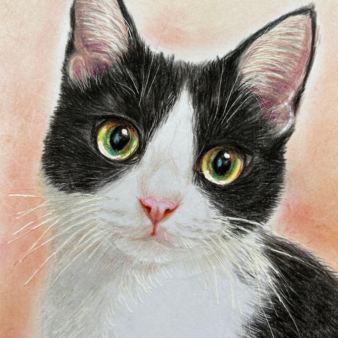 猫 絵画 子猫 イラスト 水彩色鉛筆 油彩色鉛筆 原画 ハチワレ猫ちゃん