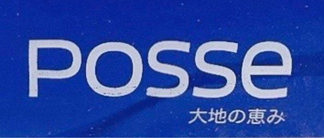 【美品 6枚セット】テラセンサ コアバランス posse ドイツ製 正規品