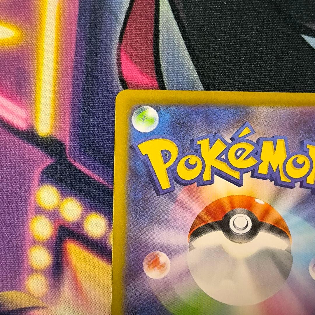 メイのはげまし　sar