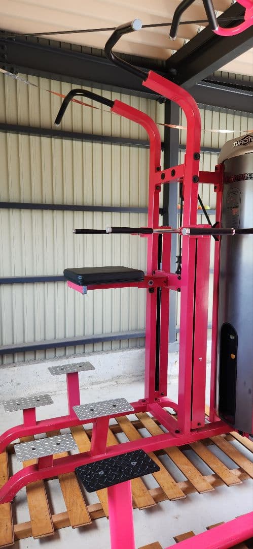 Performance タフスタッフ懸垂 チンニング 背筋 サポートウェイト