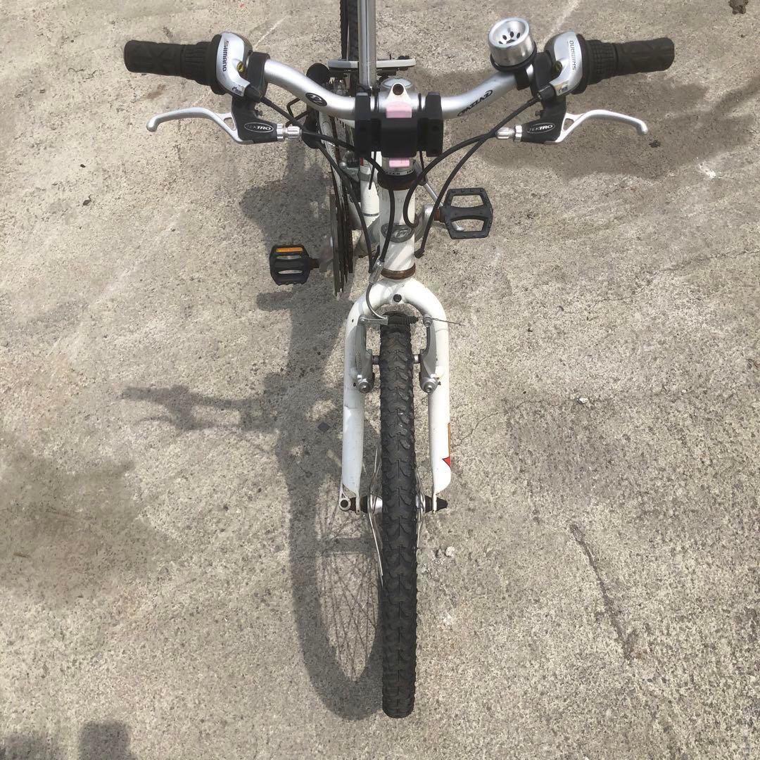 LOUIS GARNEAU ルイガノ 22型 アルミ シマノ18速