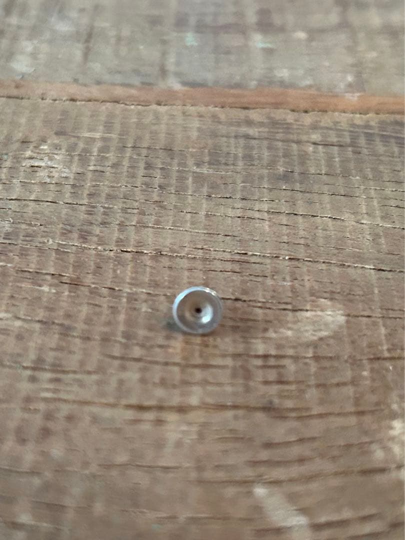 【bluebird 】CHROME HEARTSピアス