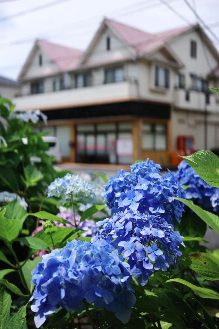 RICOH GR3x Urban Edition (カット数1353、作例あり) - メルカリ