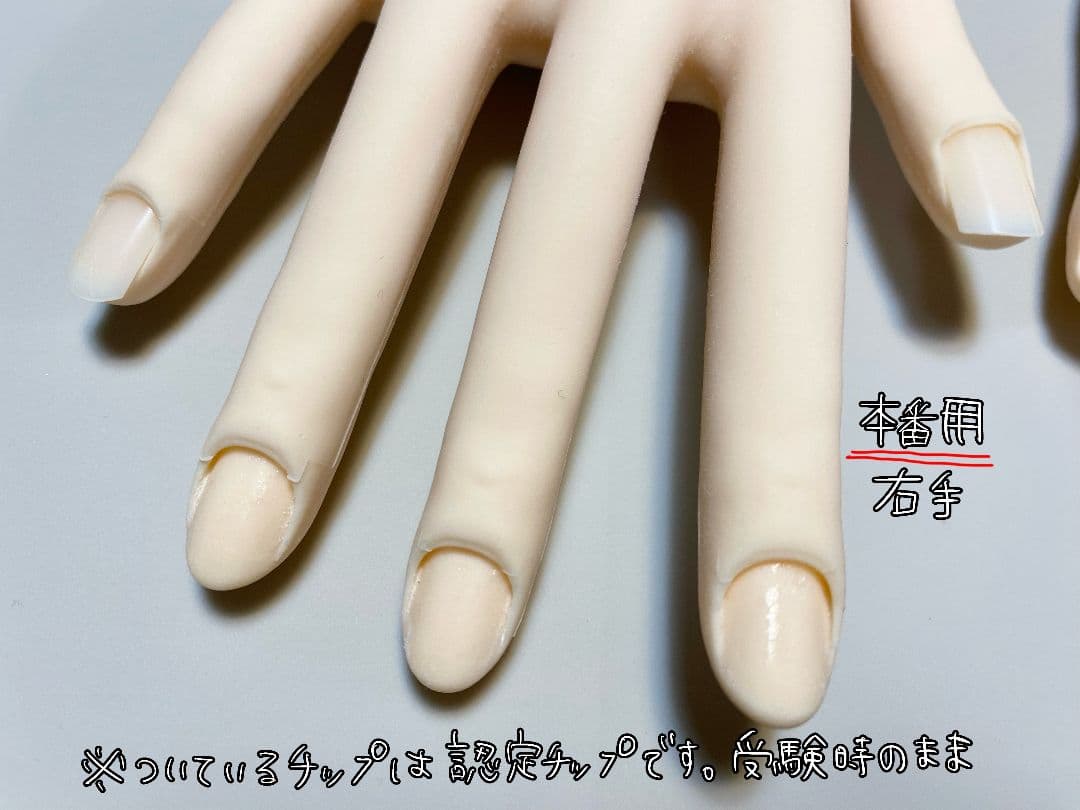 JNEC認定モデルハンド練習用＆本番用セット