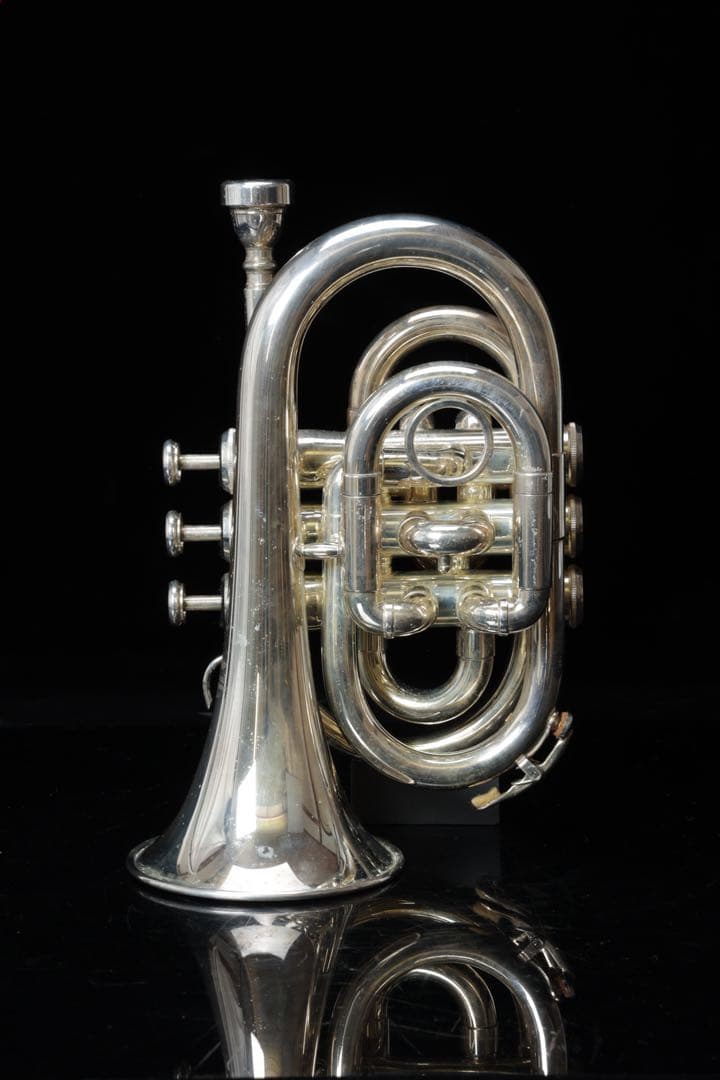 J.Michael ポケットトランペット ケース付き ミニトランペット 管楽器