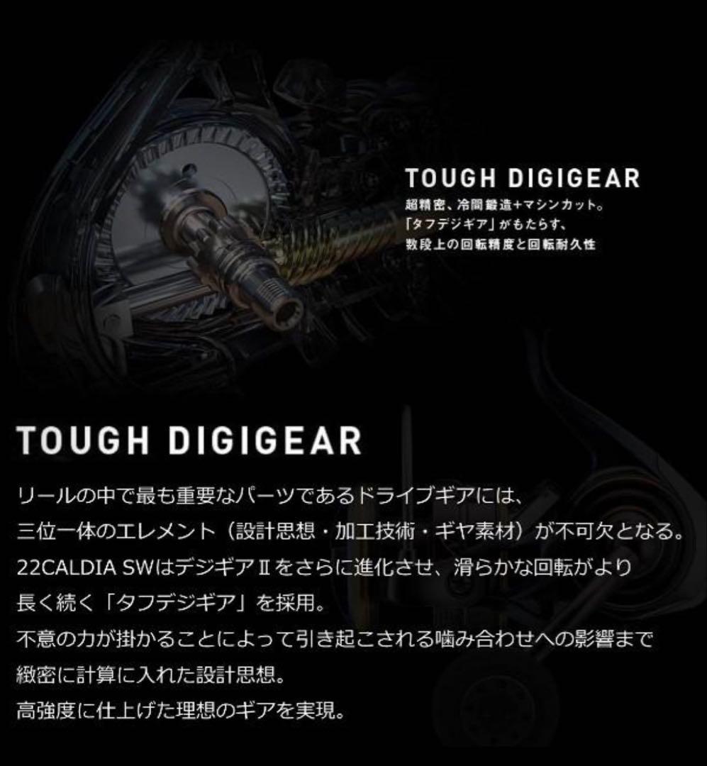 ダイワ CALDIA SW 6000D-H カルディア リール スピニング
