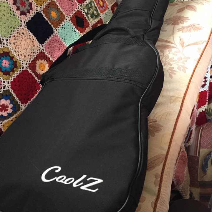 SELVA SST-600 HSH 24フレット ピンク セルバ SELVA SST-600 HSH 24