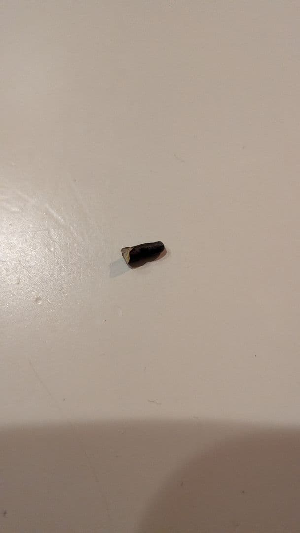 イスム スタンダードシリーズ 伝如意輪観音 イSム isumu