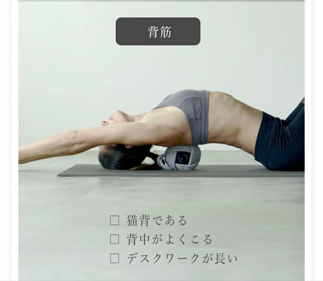 TIE BALLS 振動・加熱マッサージボール グレー&Sボール