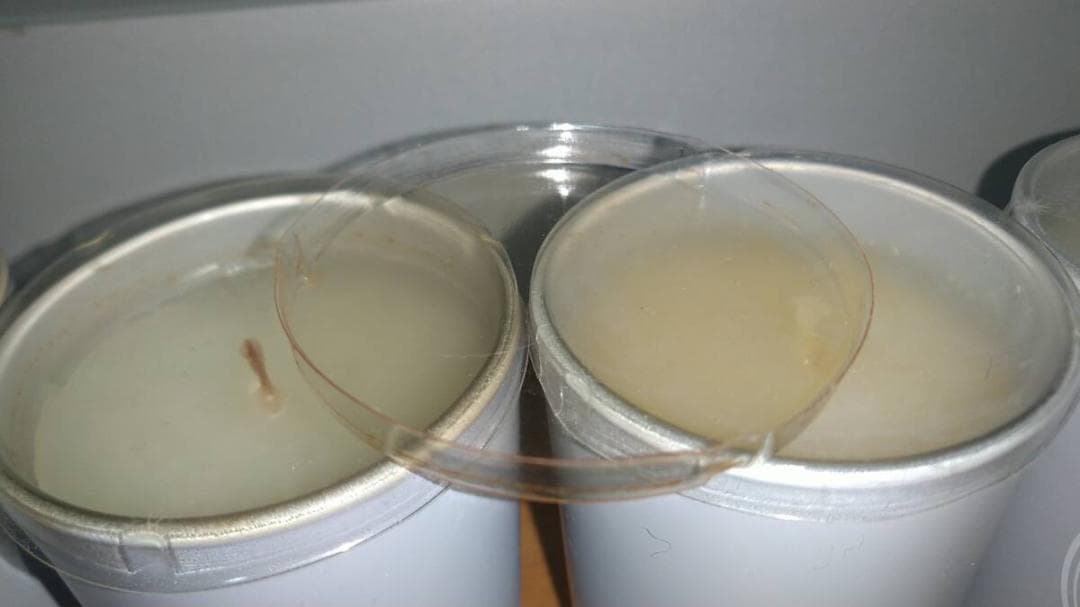 ”ディオール　Dior　フレグランス　キャンドル” 75g×4