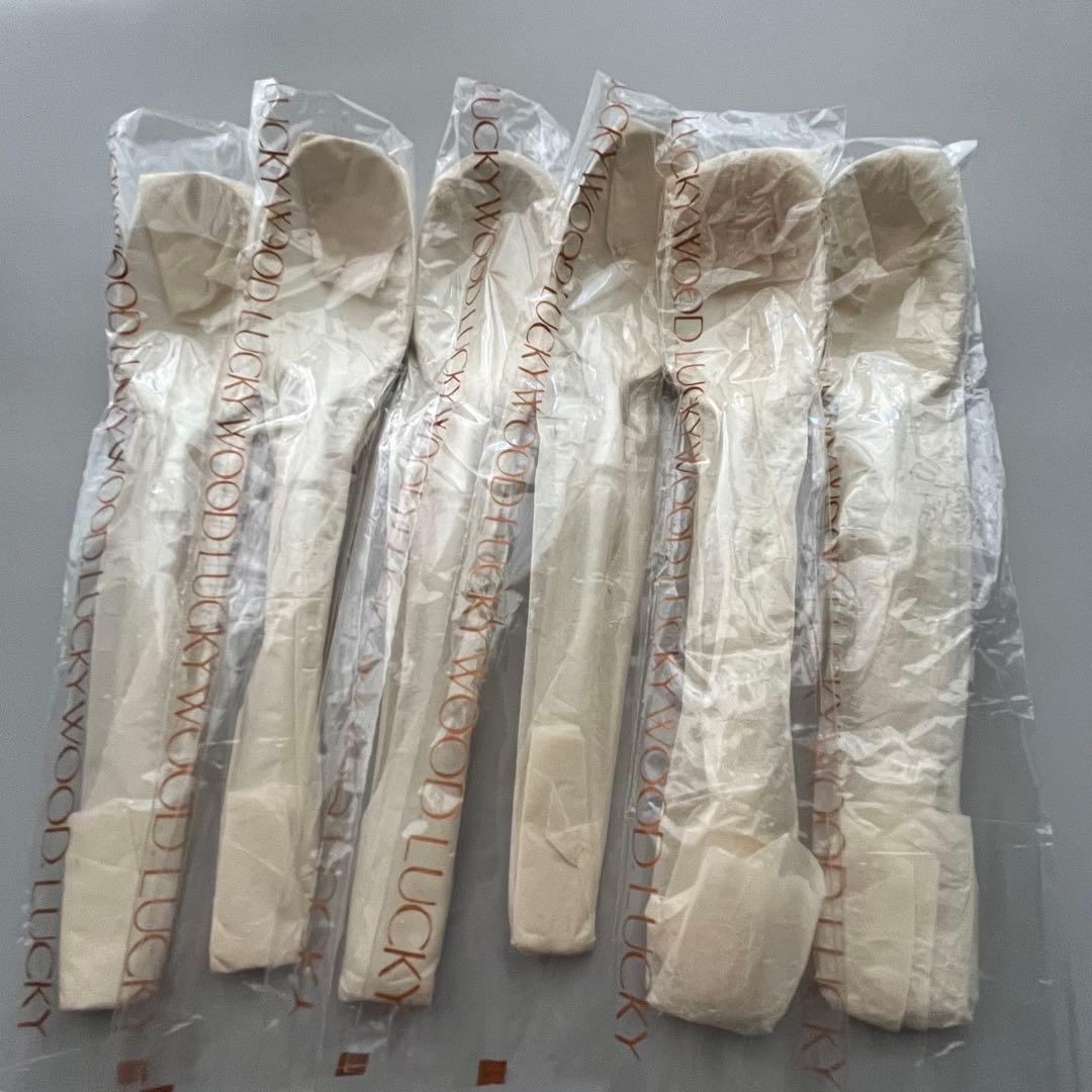 未使用品 ラッキーウッド エデン廃盤品 ディナーカトラリーセット 40μ