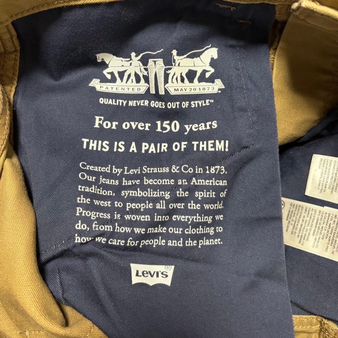 Levi's ダブルニーダックペインターパンツ ストレッチ ペイントペンキ一点物