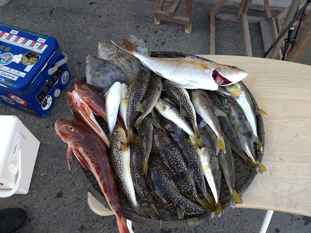 ★美品★湾ふぐロッドSHIMANO BAYGAME 船竿 180cm CI4+