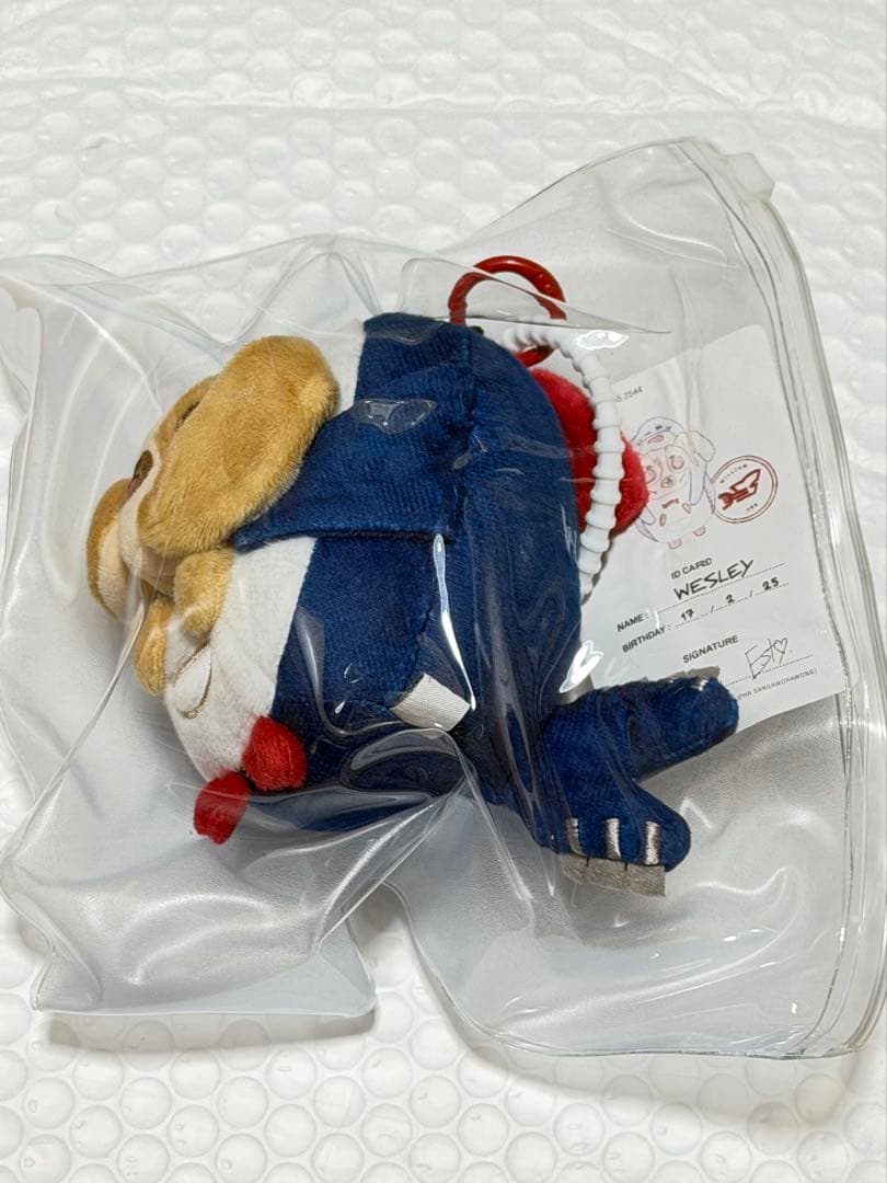 新品 GMMTV WilliamEst Wesley ぬいぐるみ DOLL