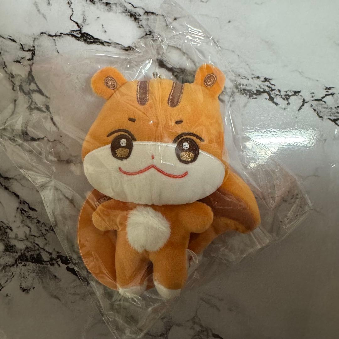 ATEEZ ANITEEZ キーリング ホンジュン チュンラミ ぬいぐるみ - メルカリ
