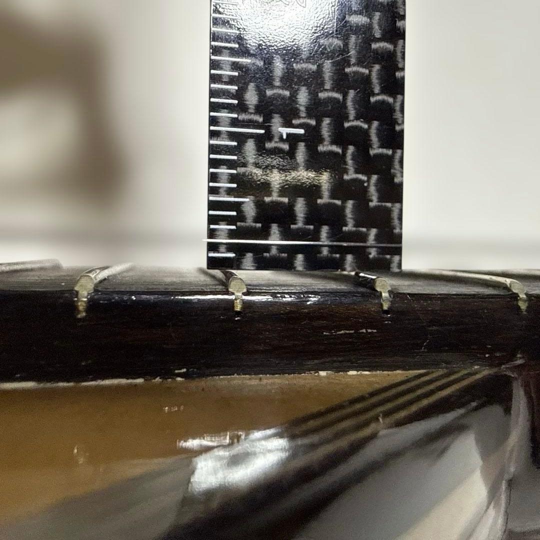 石川捷二郎監修 Venezia マンドリン M-50 ハードケース付 - メルカリ