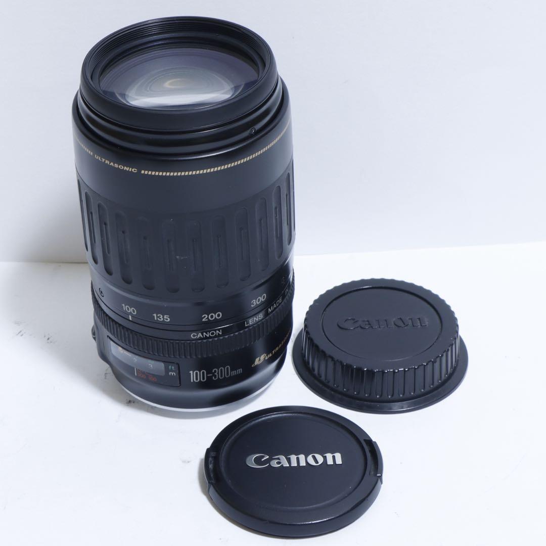 ◇超望遠&高速AF◇Canon純正 300mm 望遠レンズ!!◇